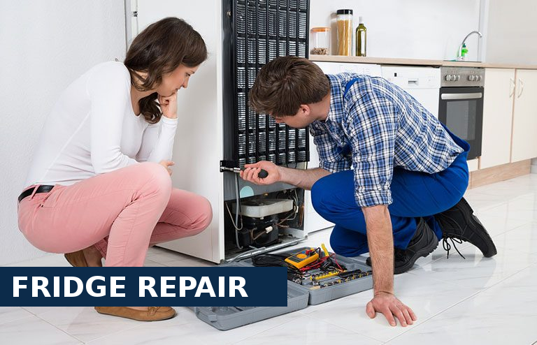 Fridge Repair Ruislip